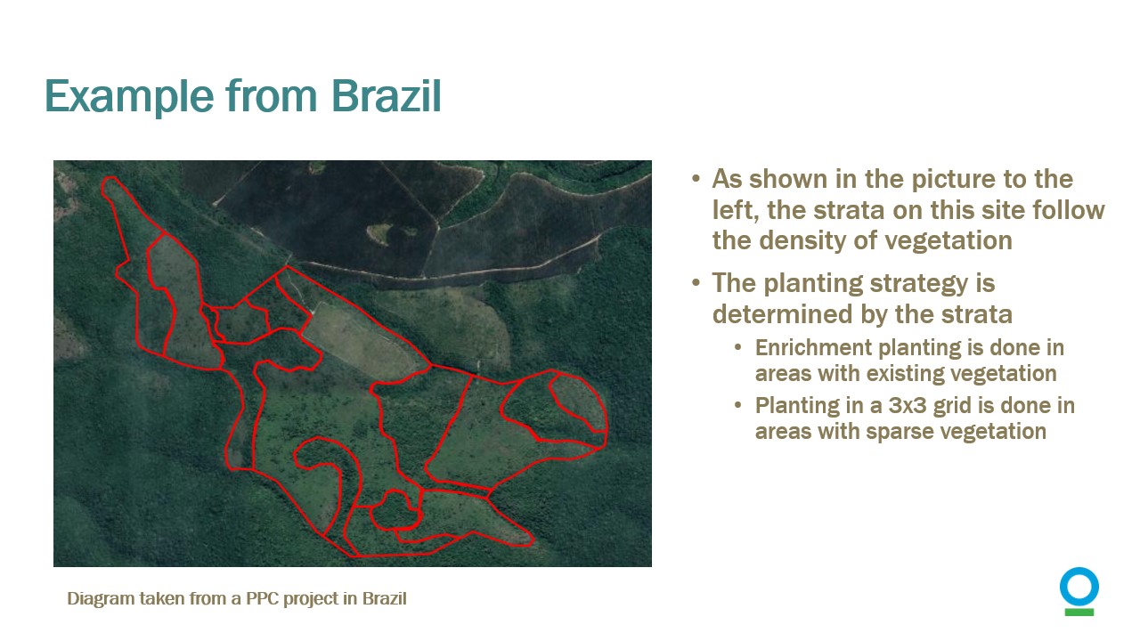 Slide14.jpg
