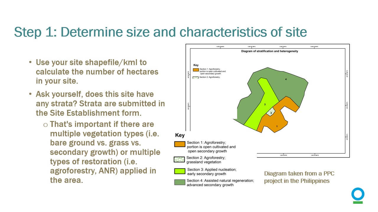 Slide13.jpg