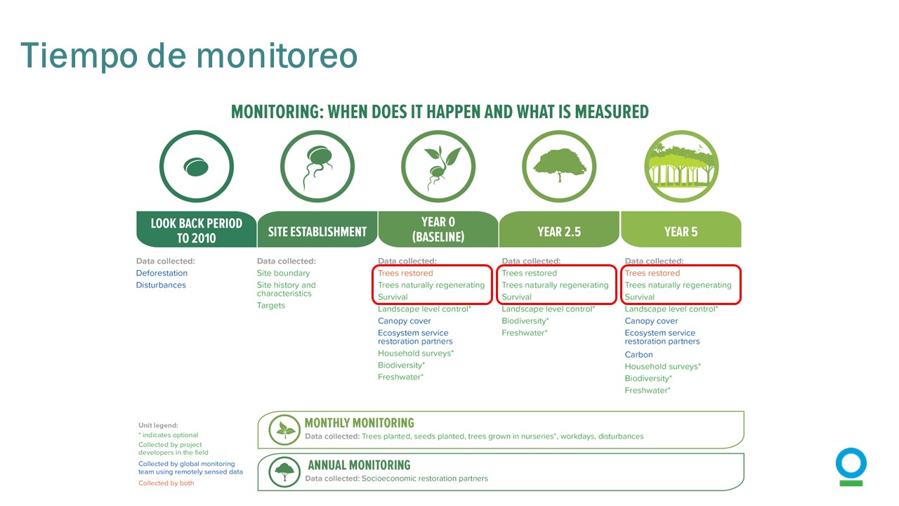 Slide7_tree_monitoring_-_ES.JPG