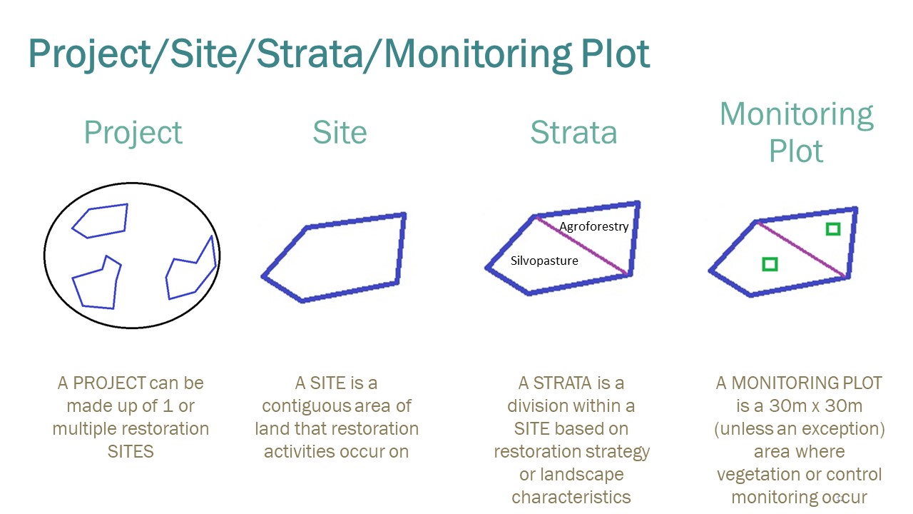 Slide12.JPG