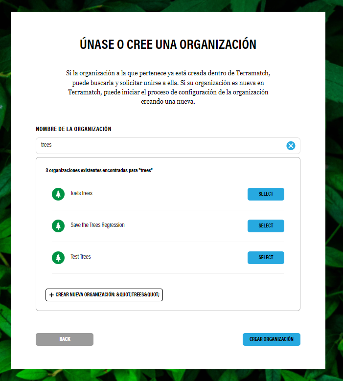 org_search_1_-_es.PNG