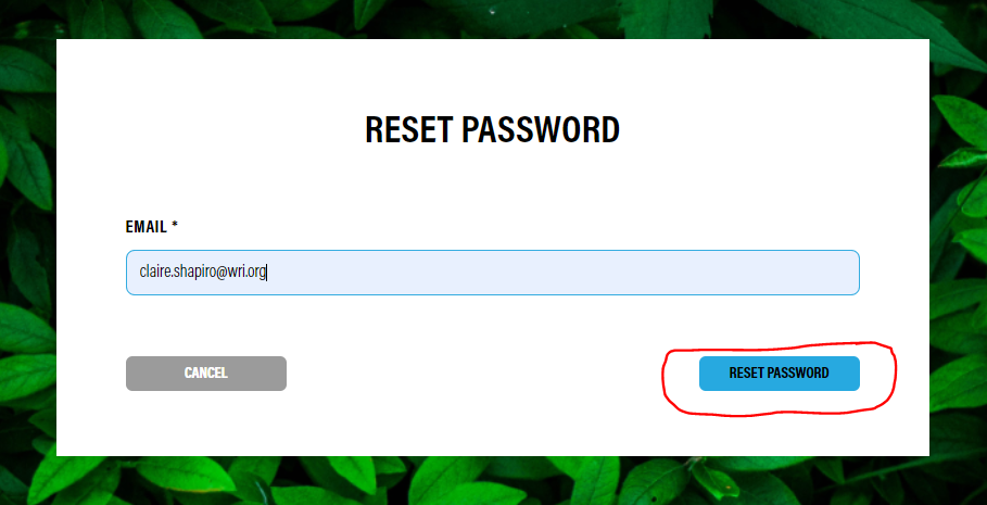 reset_pw_enter_email_en.PNG