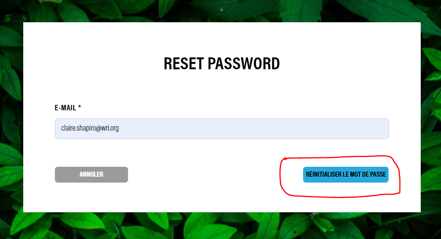 reset_pw_enter_email_fr.PNG