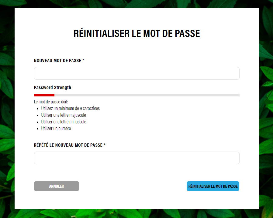 reset_pw_set_new_fr.PNG