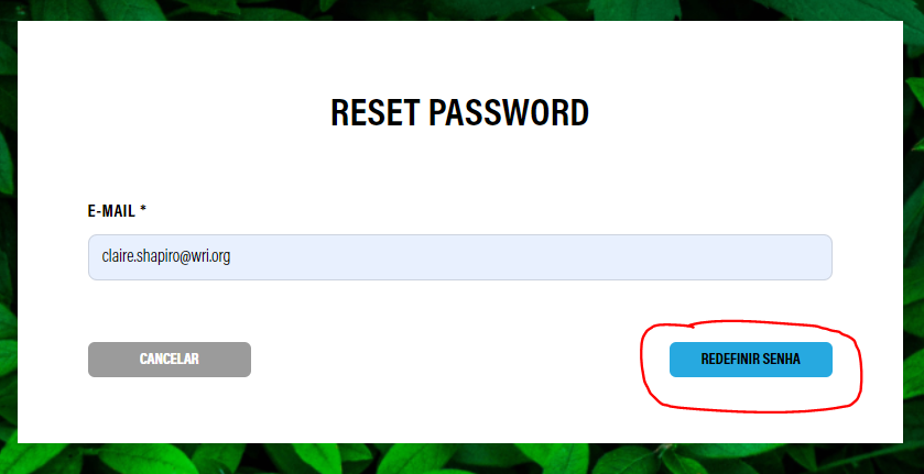 reset_pw_enter_email_pt.PNG