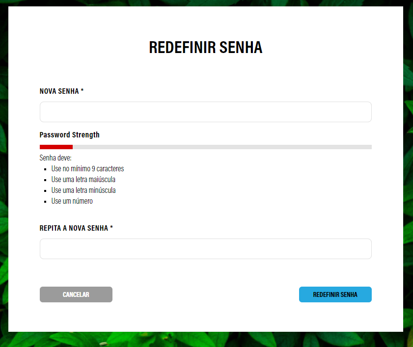 reset_pw_set_new_pt.PNG