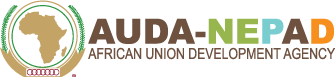 AUDA NEPAD.png