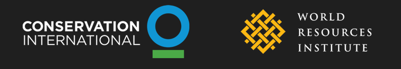 wri_ci_logo_snip_2.png