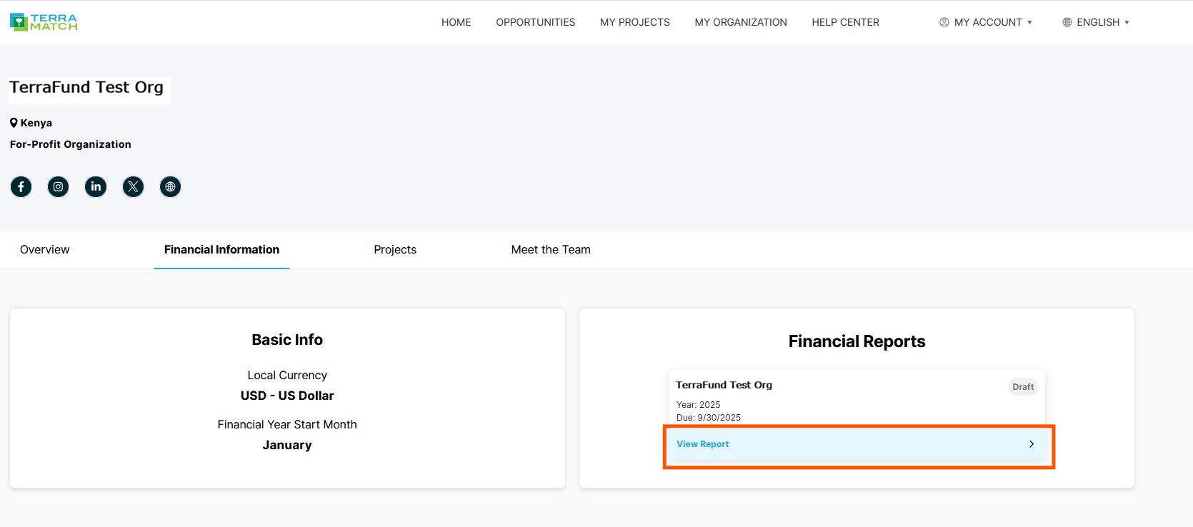 view report financial report en.png