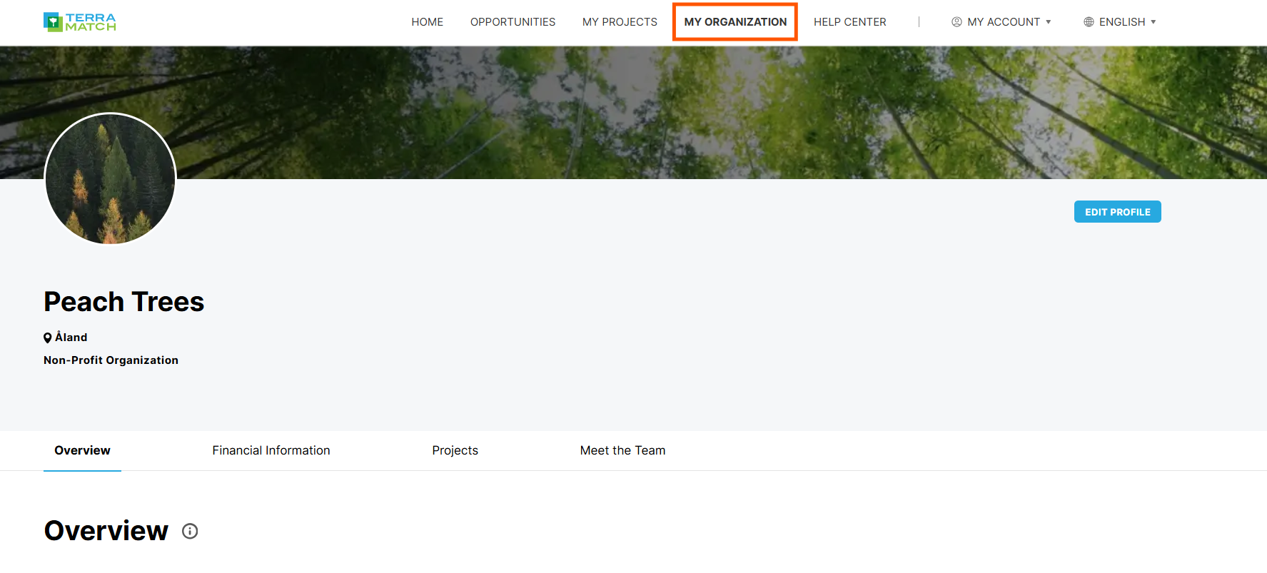 my organization page.png
