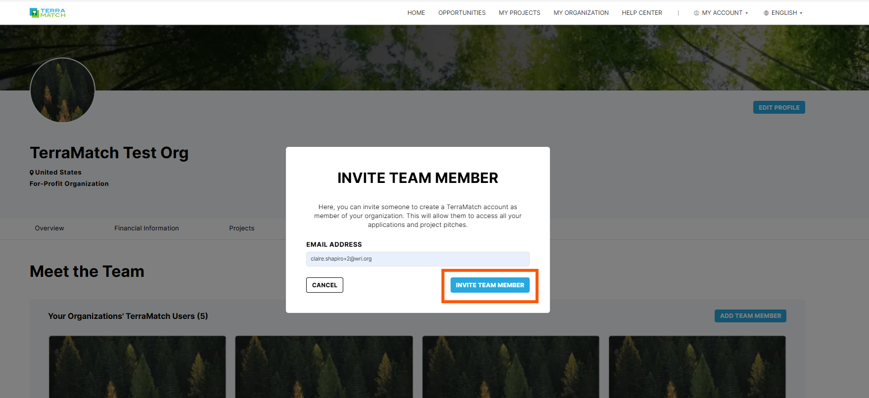 invite team member modal.png